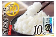 四万十川源流米 10kg [JA高知県高西営農経済センター津野山経済課 高知県 津野町 26ah0023] こめ コメ お米 おこめ 精米 ごはん