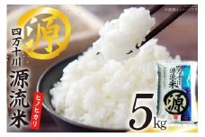 四万十川源流米 5kg [JA高知県高西営農経済センター津野山経済課 高知県 津野町 26ah0022] こめ コメ お米 おこめ 精米 ごはん