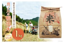 天日干し もち米 石垣棚田の里で作る『貝ノ川の棚田米』 1kg [貝ノ川棚田保存会 高知県 津野町 26as0003] 餅米 餅ごめ お餅 餅 餅つき 赤飯 おこわ 常温