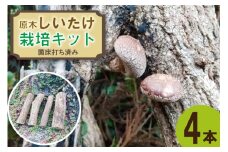 (高知県津野町産) 原木しいたけ栽培キット 大小混じり4本(菌床打ち済み) [山崎林業 高知県 津野町 26ag0002] 椎茸 シイタケ クヌギ 栽培キット 原木 自由研究 食育
