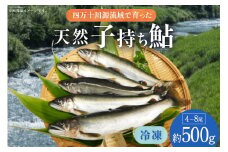 四万十川源流域 冷凍 子持ち鮎 約500g(4～8尾) [株式会社満天の星 高知県 津野町 26ac0001] あゆ アユ 魚 川魚 塩焼き 天然 個包装