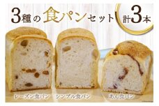 パン 『小屋』自家製酵母 3種 食パン セット (プレーン あん レーズン) 計3本 [小屋 高知県 津野町 26aa0003] バゲット 食べ比べ 全粒粉 朝食 トースト 冷凍