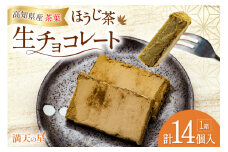 チョコレート ほうじ茶 生チョコレート 1箱 14個入り [満天の星 高知県 津野町 26ac0017] チョコ 生チョコ スイーツ デザート 冷凍