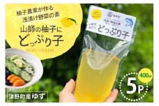 浅漬の素 柚子農家が作る 浅漬け野菜の素 山師の柚子にどっぷり子 5p [は山んば 高知県 津野町 tn39axe860001] ゆず 柚子 浅漬け