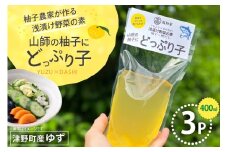 浅漬の素 柚子農家が作る 浅漬け野菜の素 山師の柚子にどっぷり子 3p [は山んば 高知県 津野町 tn39axe860000] ゆず 柚子 浅漬け