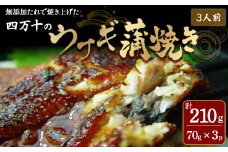四万十のうなぎ蒲焼 3人前   冷凍 特大 たれ付き 蒲焼 白焼 国産 鰻 ウナギ うなぎ 蒲焼き 肉厚 土用の丑の日 本格うなぎ 山椒付き おすすめ 四万十鰻／Ess-A07