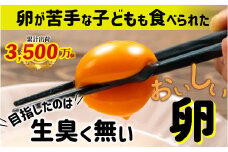 卵が苦手な子どもも食べられた！生臭くないおいしい卵 6個入×5P　Gbn-A03 たまご 玉子 鶏卵 生卵 生たまご