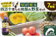 特製ポン酢付き！安心安全の地ドレ野菜（旬が香る7種セット） Qjs-05 野菜便 野菜 国産野菜 詰め合わせ 水耕セリ アスパラ ミョウガ ニラ  冷蔵