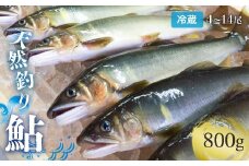 【祝！！生鮎解禁！】四万十川上流の天然釣り鮎 800g【冷蔵4～14尾】【着日指定不可】Esj-31k あゆ アユ 魚 魚介 川魚 塩焼き 冷蔵 鮎 塩焼き 天然