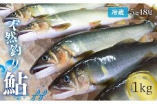 【祝！！生鮎解禁！】四万十川上流の天然釣り鮎 1kg【冷蔵5～18尾】【着日指定不可】Esj-32k  あゆ アユ 魚 魚介 川魚 塩焼き 冷蔵 鮎 塩焼き 天然
