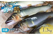 【祝！！生鮎解禁！】四万十川上流の天然釣り鮎 1.3kg【冷蔵６～22尾】【着日指定不可】Esj-33k  あゆ アユ 魚 魚介 川魚 塩焼き 冷蔵 鮎 塩焼き 天然