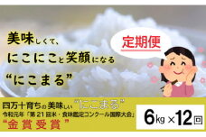 ◎令和5年産米◎四万十育ちの美味しい仁井田米。高知のにこまるは四万十の仁井田米【6㎏×12回の定期便】Rbmu-04 にいだまい 米 こめ コメ 農家 こだわり お米 おこめ ブランド米 頒布会 
