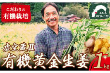 ゆうきのもり生産者こだわりの有機黄金生姜 （1kg）Ftf-A01 しょうが ショウガ 生姜 黄金しょうが 高知 国産 生姜焼き しょうが湯  レシピ付 魚料理 肉料理