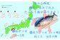 戻り鰹の別名はトロ鰹です。トロが乗っているように脂たっぷりの鰹を三陸沖から小笠原諸島で捕まえております。