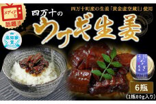 四万十うなぎ 生姜 6瓶セット（1瓶80g入り） ／Ess-15　ご飯のお供 鰻 ショウガ しょうが 肴 おかず 四万十鰻  瓶詰 おすすめ 人気 国産 厳選