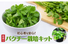 初心者も安心！「並盛り」パクチー栽培キット ／Fis-B05 パクチー 趣味 ガーデニング 家庭菜園 園芸 ベランダ菜園 プランター 種 種子 プロ仕様の肥料 培養土 トムヤムクン タイ料理