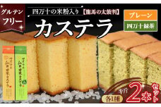 四万十の米粉カステラ 2本セット【龍馬の太鼓判】プレーン＆四万十の緑茶半斤 Bmu-A38 焼き菓子 お菓子  グルテンフリー米粉カステラ 贈答 お祝い お土産 スイーツ 和菓子 米粉スイーツ ギフト 米粉菓子