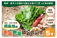 【栽培期間中、農薬・化学肥料不使用】桐島畑の季節野菜詰め合わせ(5種類) Fkh-A07 ／ やさい 国産野菜 四万十 高知 季節 フレッシュ 旬 無農薬 有機農業 野菜セット 新鮮 フレッシュ こだわり栽培 安心安全