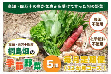 【栽培期間中、農薬・化学肥料不使用】桐島畑の季節野菜詰め合わせ(5種類)(定期便12か月コース)　Rfkh-A02 ／ やさい 国産野菜 四万十 高知 季節 フレッシュ 旬 無農薬 有機農業 野菜セット 新鮮 フレッシュ こだわり栽培 安心安全
