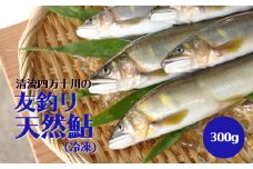  四万十川中流域の「友釣り天然鮎」 300g (4～6匹) 　Qdr-51　／アユ あゆ  冷凍 しまんと 高知 ギフト贈り物 プレゼント お取り寄せ 父の日 母の日 敬老の日 お歳暮 お中元 御年賀