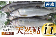 四万十川上流の天然鮎　冷凍　火振り漁鮎（4～14尾）【着日指定不可】Esj-12k あゆ アユ 魚 魚介 川魚 塩焼き 冷凍