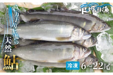 四万十川上流の天然鮎 冷凍 火振り漁鮎 2kg（6～22尾）【着日指定不可】Esj-14k あゆ アユ 魚 魚介 川魚 塩焼き 冷凍 個包装 小分け たっぷり