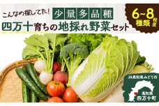 【少量多品種】 四万十育ちの地採れ 野菜セット （6～8種類）Qjs-A21 野菜便  やさい 国産野菜  詰め合わせ 季節 フレッシュ 旬 （しょうが にら ピーマン トマト きゅうり せり しいたけ ほうれん草 菜の花 えんどう豆 なす みょうが かぼちゃ 大根）などから7種類前後をチョイス 何が入っているかは季節毎のお楽しみ　