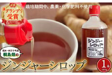 【桐島畑】ジンジャーシロップ 1本（480g） 栽培期間農薬 化学肥料不使用 生姜 Fkh-A08／ 生姜 しょうが 生姜シロップ ジンジャー 無農薬