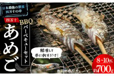 子どもが喜ぶバーベキュー！清流育ちの四万十あめご（約700g）【BBQ専用竹串付き】 Eay-01 おつまみ バーベキュー BBQ アウトドア アメゴ 魚 あまご 川魚 塩焼き 小分け  冷凍 8～10匹  個包装