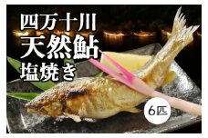 職人が丁寧に炭火焼！四万十川の「天然鮎の塩焼き」6匹　Qdr-152	／天日塩 アユ あゆ 冷凍 しまんと 高知 火振り漁 ギフト 贈り物 プレゼント お取り寄せ レンチン レンジでチン