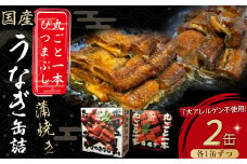 うなぎ缶詰 セット 計220g【蒲焼・ひつまぶし】 Esu-76 国産 うなぎ 蒲焼 鰻 塩鰻 ウナギ 海産物 ギフト 贈答 贈り物 おつまみ 備蓄 防災 食料 長期保存 非常食 食品