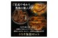 [蒲焼き缶詰のイメージ画像]