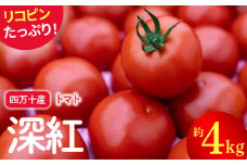 赤さがリコピン満載の証！四万十産トマト「深紅」4㎏（1箱24～55玉） Fbg-006 野菜 新鮮 鮮度 抜群 トマト 完熟トマト 評判 好評 人気 濃厚 とまと リコピン パスタ トマトジュース ジャム 健康食品 美肌 美容 免疫 緑黄色野菜