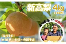 【先行予約】 数量限定 新高梨 4kg（5玉前後）山﨑梨園 大きさとおいしさの感動をお届け 梨の王様 梨 新高梨 なし ナシ Cyn-003 梨 夏 なし 水菓子 果物 デザート フレッシュ フルーツ