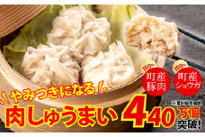 やみつきになる美味さ！旨味がギュッと凝縮された肉しゅうまい （計24個）Qak-A26 肉しゅうまい ニク シュウマイ 特産品 名産品 お取り寄せ 人気 おすすめ 四万十 焼売 レンジ 国産