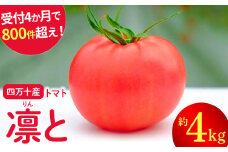 受付4か月で800件超え！四万十産トマト「凛と」(4kg) 野菜 新鮮 鮮度 抜群 トマト 完熟トマト 評判 好評 人気 濃厚 とまと リコピン パスタ トマトジュース ジャム 健康食品 美肌 美容 免疫 緑黄 Fbg-A003