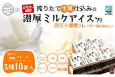搾りたて 生乳 仕込みの濃厚 ミルクアイス 四万十満喫フレーバー（5種10個セット）Qak-35 アイスクリーム アイス アイスセット バニラアイス ブルーベリーアイス いちごアイス イチゴアイス しょうがアイス 生姜アイスアイス大容量 冷凍 人気 詰め合わせ セット