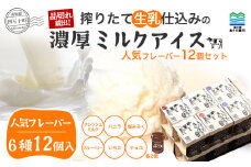 搾りたて 生乳 仕込みの濃厚 ミルクアイス 人気フレーバー12個セット（6種類）Qak-36 アイスクリーム アイス アイスセット バニラアイス ブルーベリーアイス いちごアイス イチゴアイス チョコ チョコアイス アイス大容量 詰め合わせ セット 人気 カップ