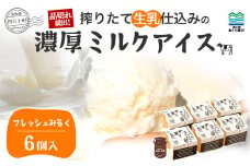 搾りたて 生乳 仕込みの濃厚 ミルクアイス フレッシュみるく （6個セット） Qak-A32 アイスクリーム  アイス しぼりたて生乳 アイス セット ミルク アイス大容量 冷凍 人気 