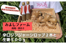  四万十の台地で育った辛口ジンジャーシロップ２本と生姜５００ｇ　Fmf-A01 生姜 しょうが 生姜シロップ