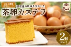 たまご農場直営スイーツ！こだわり卵のカステラ 2個セット(190g×2個) Gbn-A19 デザート 贈答 プレゼント お返し 出産祝い お菓子 洋菓子 内祝い 誕生日 手土産 6000円 1万円以下 10,000円以下 