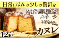 たまご農場直営スイーツ!こだわり卵の食べ応え抜群!大きなカヌレ　12個　Gbn-41 かぬれ 焼き菓子 スイーツ 人気 バニラ デザート お取り寄せ 送料無料 カヌレ お菓子 洋菓子 プレゼント プチギフト 美味しい おすすめ