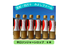  四万十の台地で育った辛口ジンジャーシロップ6本　Fmf-02 生姜 しょうが 生姜シロップ
