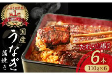 うなぎ蒲焼き (110g×6尾) 国産 名店 食べ方 調理済み うな重 ひつまぶし タレ 山椒付き ギフト お歳暮 お正月 高級 鰻 お取り寄せ グルメ 蒲焼 人気 おすすめ 小分け 個包装  冷凍 Esu-125