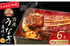 〈鰻大好き定期便〉うなぎ蒲焼き≪大≫（160g x 6本）6カ月セット Sesu-06 冷凍 蒲焼 鰻 ウナギ うなぎ 蒲焼き 肉厚 土用の丑の日 本格うなぎ