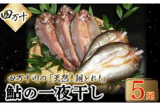 頭からガブッと！四万十川の天然小鮎 一夜干し（5枚セット） Esg-25 あゆ アユ 鮎 魚 魚介 川魚 塩焼き 干物 ひもの 海鮮