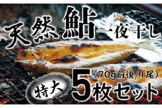 四万十川の天然鮎　特大サイズ一夜干し5枚セット Esg-27 あゆ アユ 魚 魚介 川魚 塩焼き 干物 ひもの 海鮮 