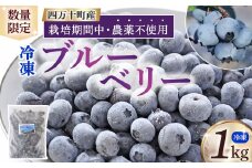 【数量限定／2025年産】栽培期間中 農薬不使用 冷凍 ブルーベリー （1kg）Qdr-91 ブルーベリー ジャム ヨーグルト スムージー パイ スイーツ 朝食 贈り物 お取り寄せ ギフト 果物 無農薬