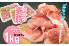 平野協同畜産の「麦豚」 豚もも切り落とし　1㎏（500g×2パック）　四万十ポーク Ahc-A06 国産 ぶた肉 豚肉 肉 お肉 もも 国産豚肉 国産ぶた肉 冷凍 小分け　生姜焼き 豚丼