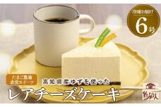 高知県産ゆずを使った爽やかレアチーズケーキ　6号ホール　Gbn-43 チーズ ケーキ レアチーズ チーズケーキ スイーツ デザート 洋菓子
